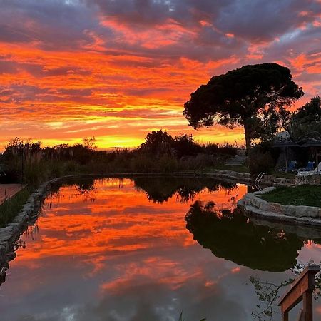 Oasis Camp Portugal Hotel ลาโกอา ภายนอก รูปภาพ