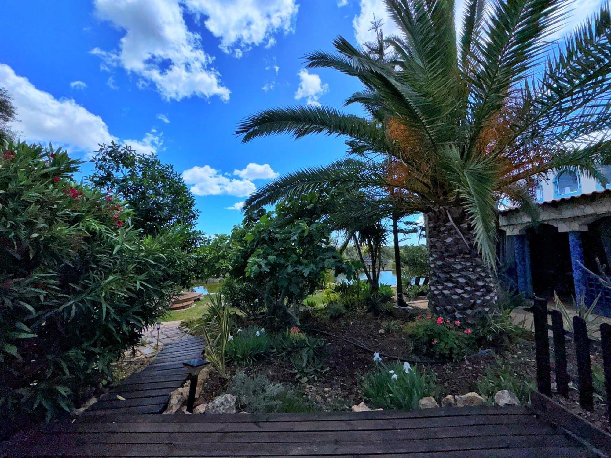 Oasis Camp Portugal Hotel ลาโกอา ภายนอก รูปภาพ